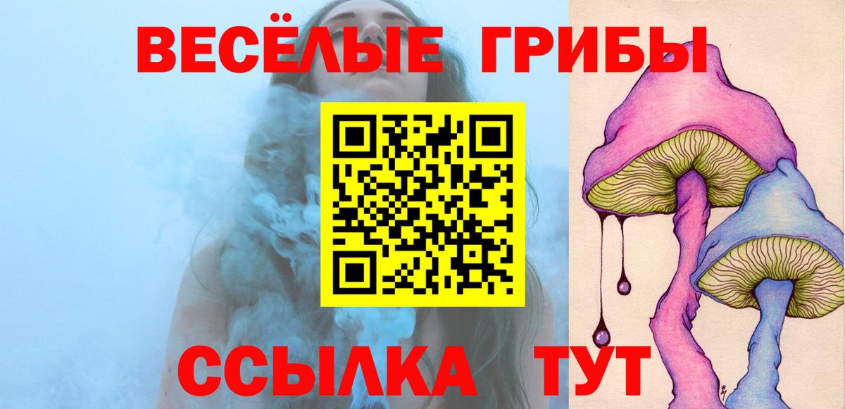 Галлюциногенные грибы GOLDEN TEACHER  Вход с VPN  Галлюциногенные грибы Psilocybe  Жигулёвск 